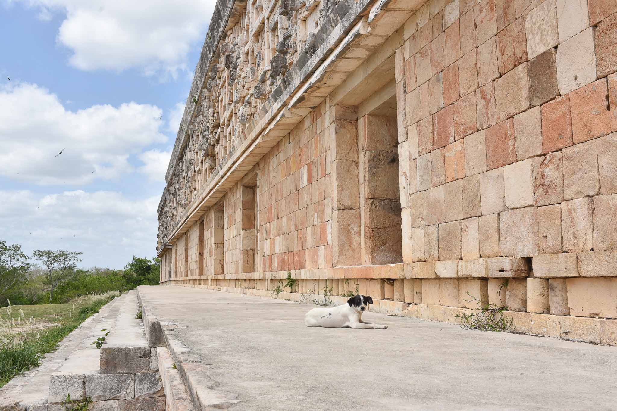 ruines maya mexique