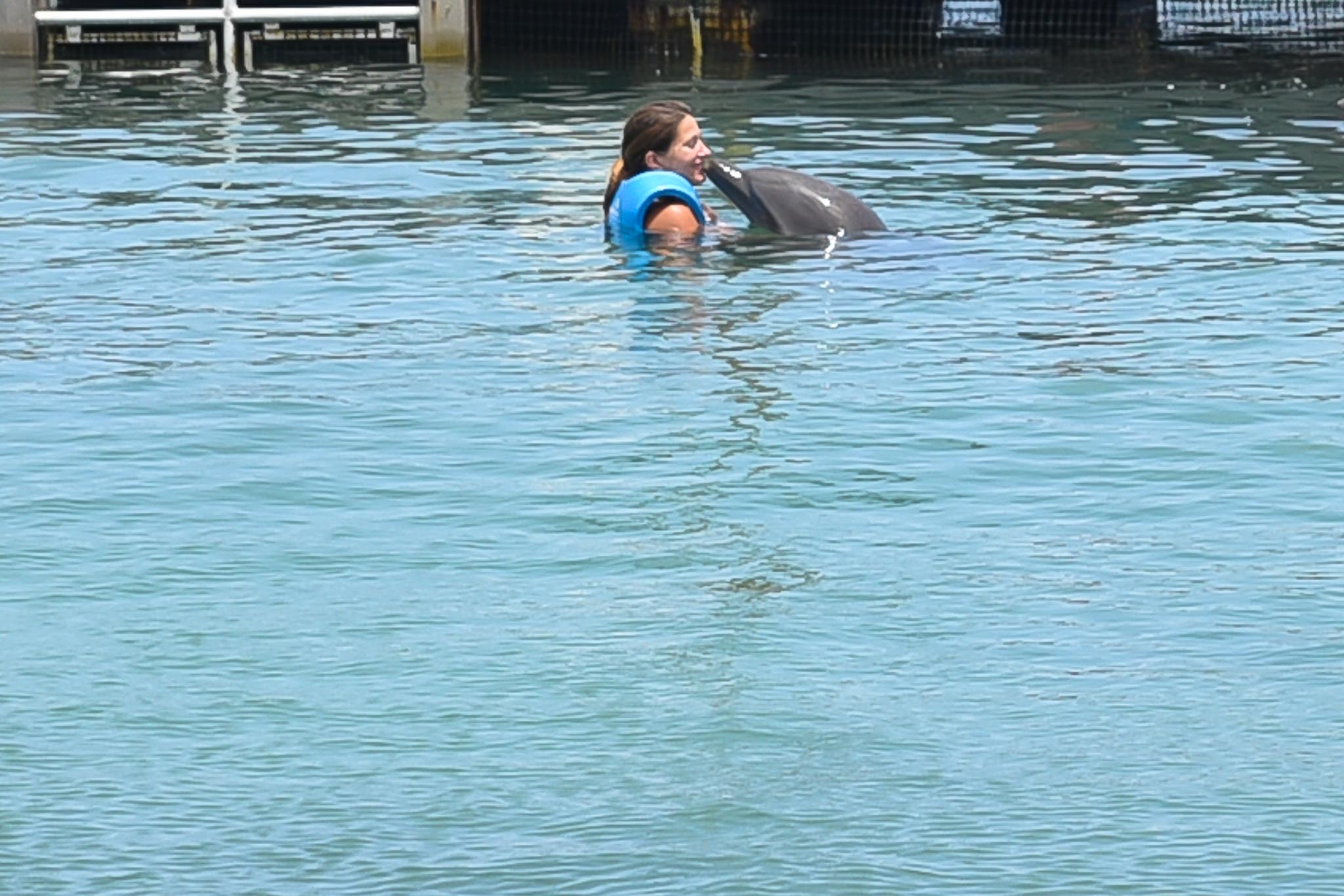 voyage au mexique dauphins