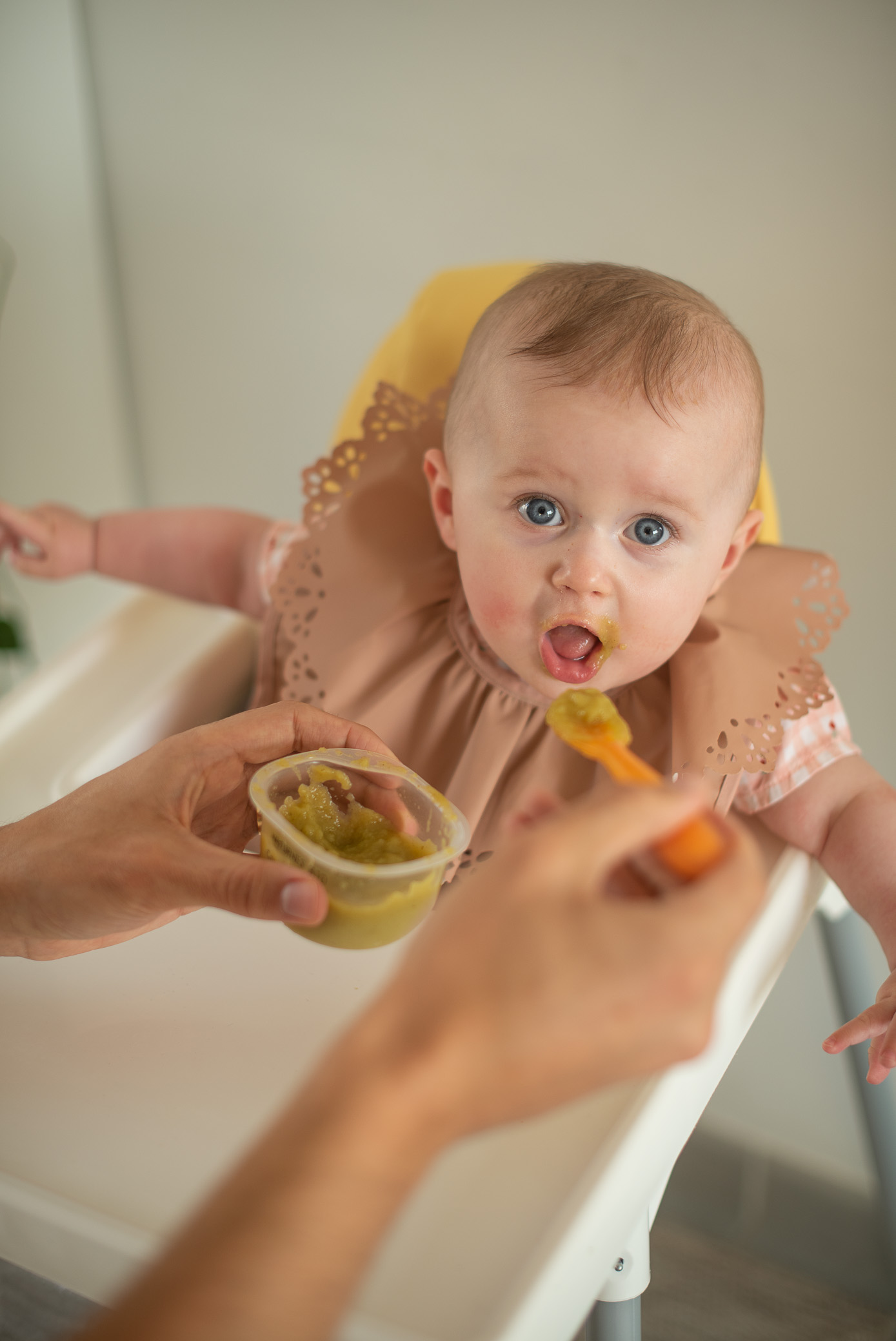Petit pot bébé BIO : alimentation pour bébé BIO