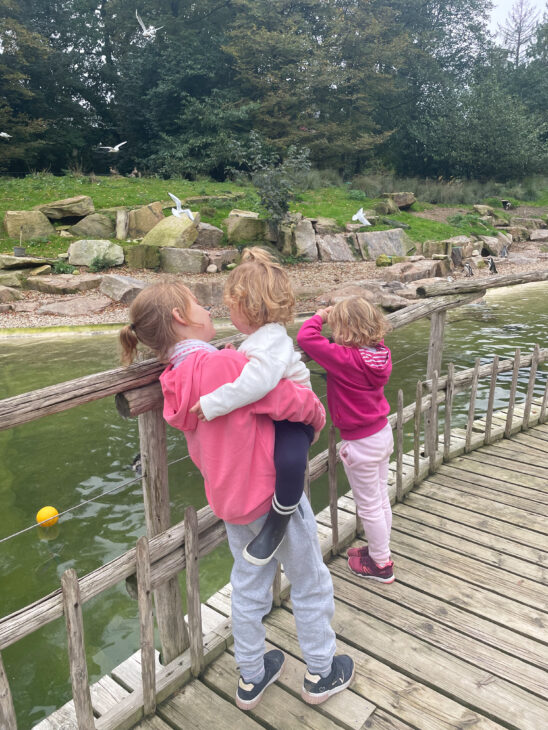 idée sortie enfant rennes