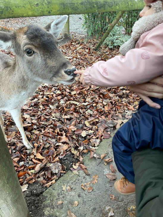 idée sortie avec enfant